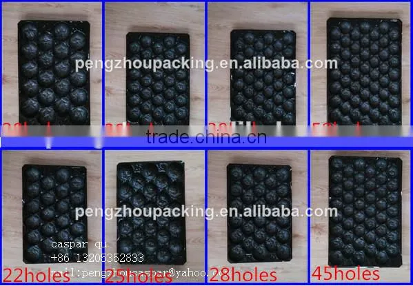 FDA Approved Vacuum Formed PP Food Serving Trays For Fresh Fruit Packaging photo-4