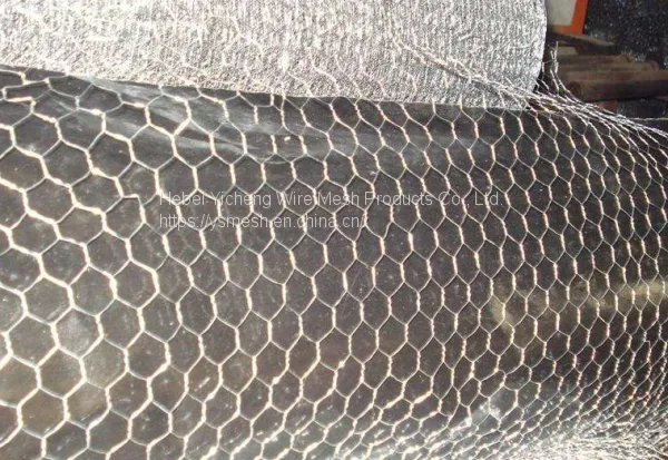 Chicken Wire Netting,Hexagonal Wire Mesh For Animal Cage Fence photo-3