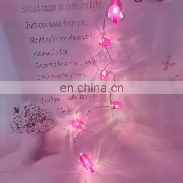 2020 New Product Cool And Refreshing Summer 2AA Battery Operated Fairy Popsicles String Light For Decoration photo-3