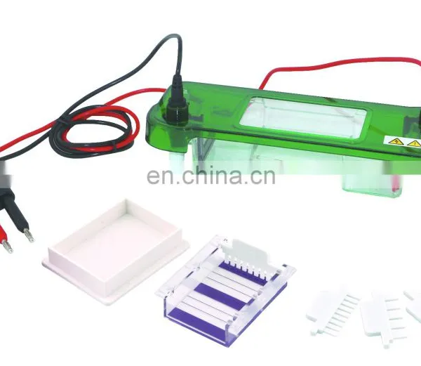 SPAT Gel Analysis Electrophoresis Tank Horizontal Electrophoresis photo-4