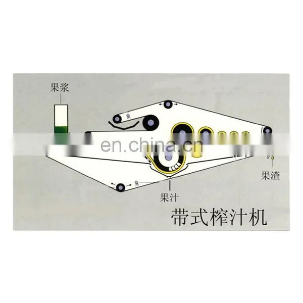 Full Plant Mango Juice Machine photo-2