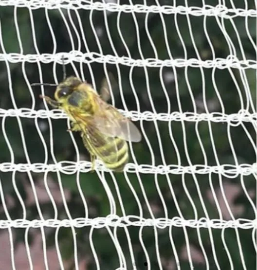 HDPE Anti-Thrip Insect Net Custom Cutting Processing Service