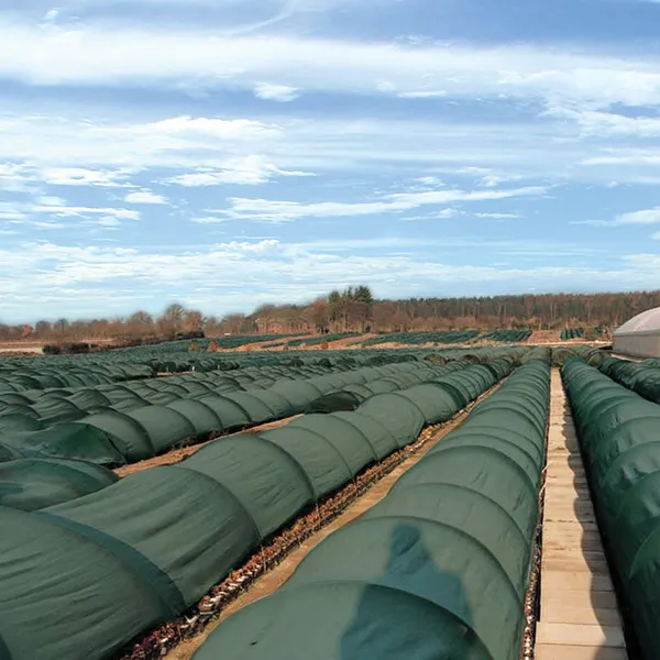 65GSM 70% Sunshade Net 105GSM 90% Green Shade Netting For Agriculture Greenhouse Shading Net