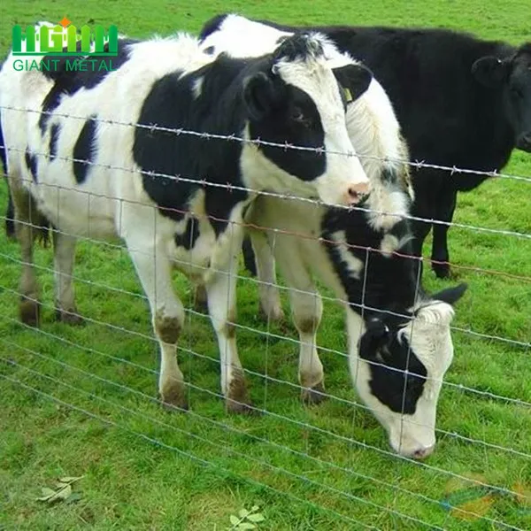 Hot Sale Galvanized Farm Fence Animal Farm Steel Wire Mesh Hinge Joint Fence/deer Fence Wire Mesh for Livestock photo-2