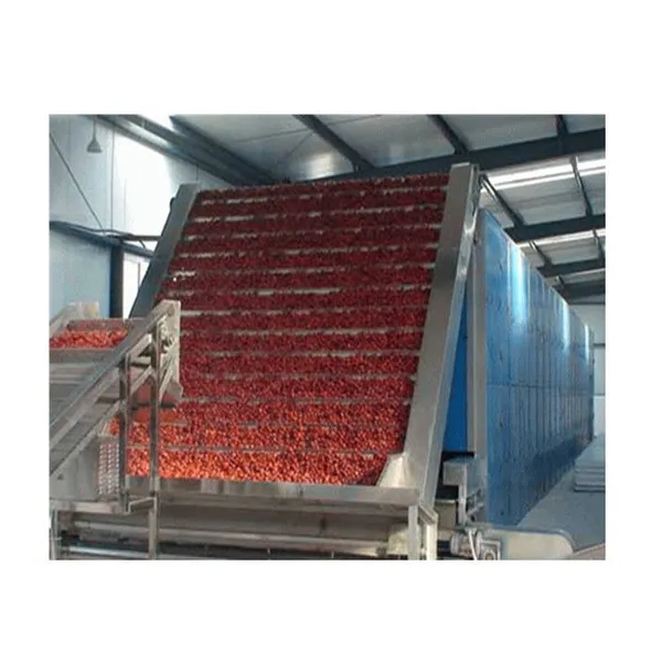 Best Selling Red Chilli Drying Machine /fruit Drying Machine photo-2