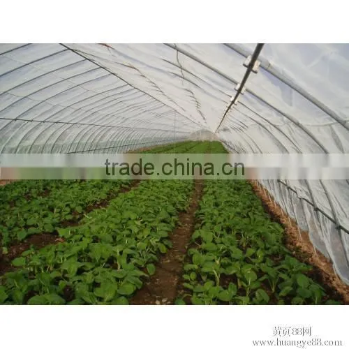 Agricultural Anti Insect Net With Best Price photo-6