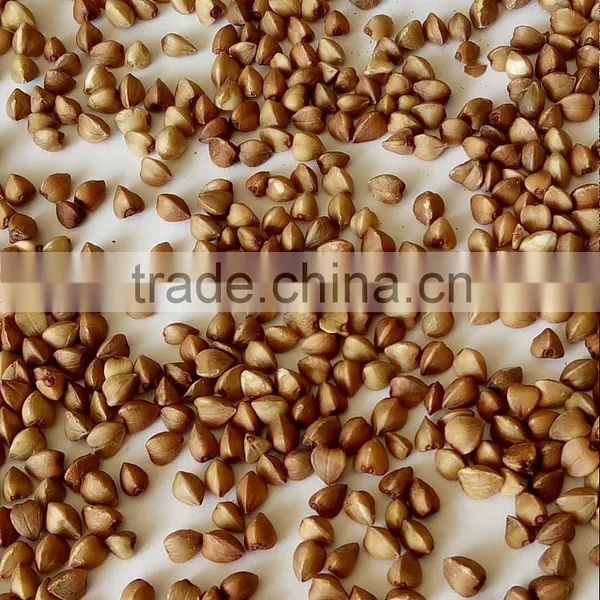 Brown Color and Dried Style Roasted Buckwheat Groats photo-2