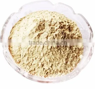 Wheat Gluten