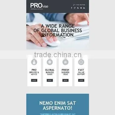 Seo Web Design Company India photo-3