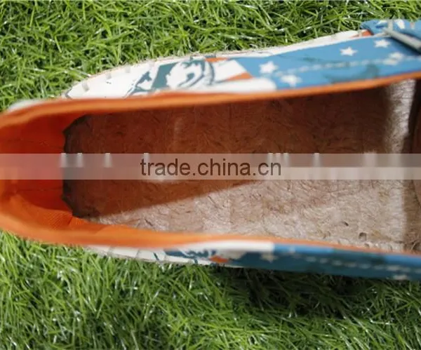 the Stars and the Stripes Stock Canvas Shoes photo-4