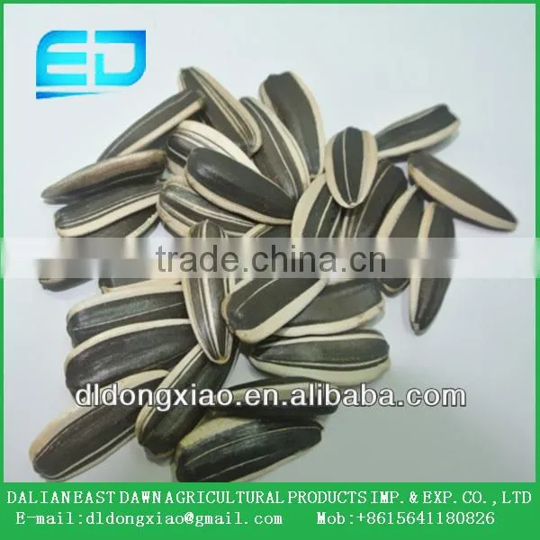 Chinese Bulk Black Sunflower Seeds With Good Quality 2015 New Crop photo-3