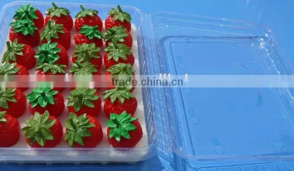 Punnet Clamshell Blister Plastic Packaging Container 500 Gram photo-3