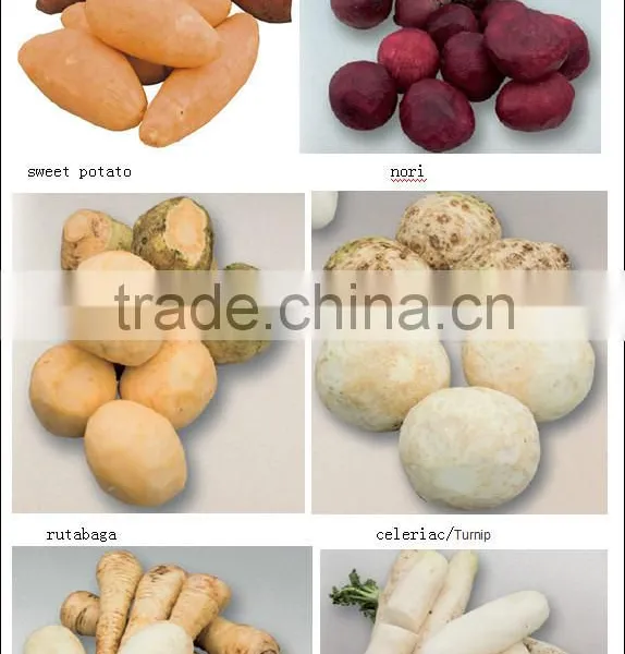 Stainless Steel Automatic Cassava Washing And Peeling Machine photo-4