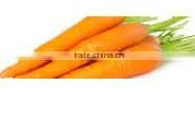 Fresh Carrots For Sale