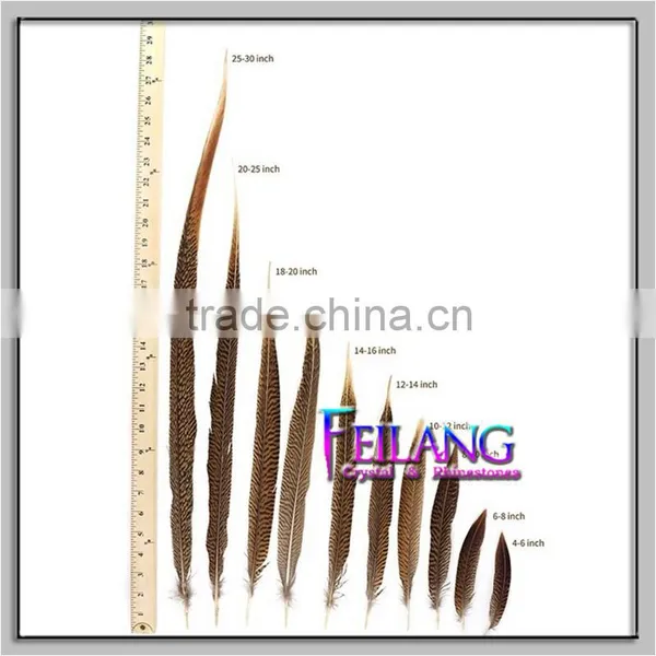 CHEAP PHEASANT GOLDEN FEATHERS photo-5