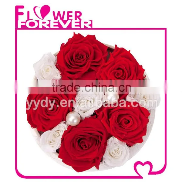 Top Selling Natural Preserved Roses photo-2