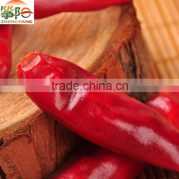 Chaotian Red Chilli Chinese Manufacturer Supply Hot Chilly photo-2