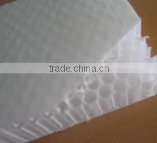 High Quality Polypropylene Honeycomb Sandwich Panel photo-2
