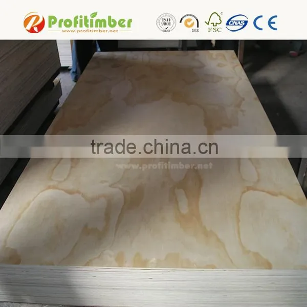 Construction Grade Pine CDX Plywood photo-2