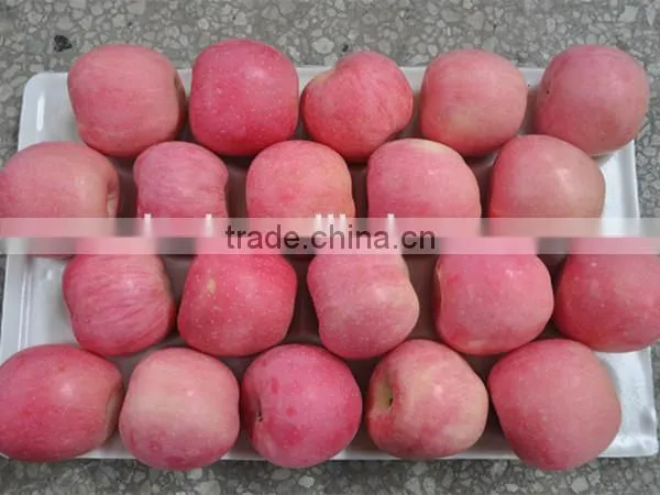 2015 Fresh Fuji Apple on Sale in Hot Sale Season With High Quality and Lowest Price photo-2