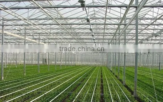 Large Multi-span Commercial Agriculture Greenhouse photo-4
