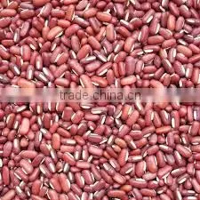 SPECKLED KIDNEY BEANS photo-3