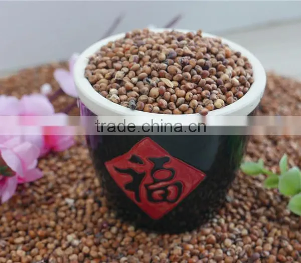 Red Sorghum With High Quality And Cooperate Price From China photo-6