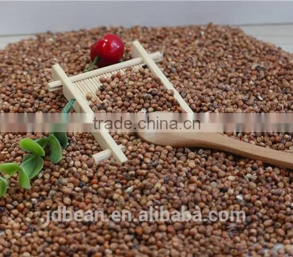 2016 Non-GMO Organic Glutinous Red Sorghum Sticky Sorghum photo-6