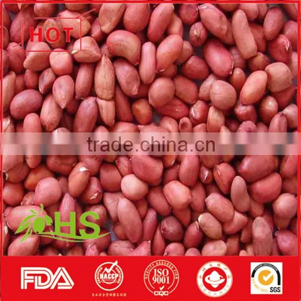 Blanched Peanut Kernel/Peanuts in Red Shell/Peanut Kernels photo-5