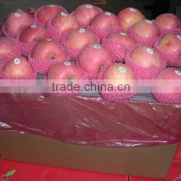 Gala Apple photo-2