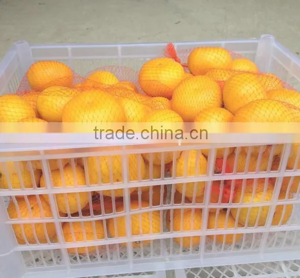 Names of Fruit Products Mandarin Orang With Complete Price photo-2