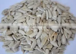 Sunflower Kernels Dried Sunflower Seeds for Bird Food photo-3
