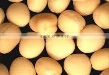 Spices Whole - Mustard Seeds Yellow