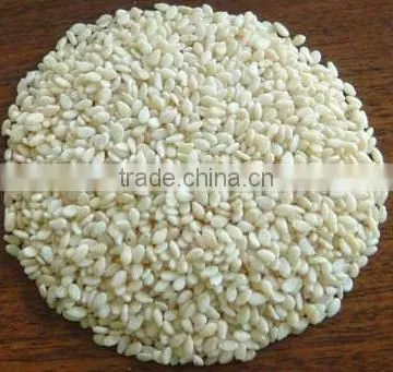 HULLED SESAME SEEDS photo-2