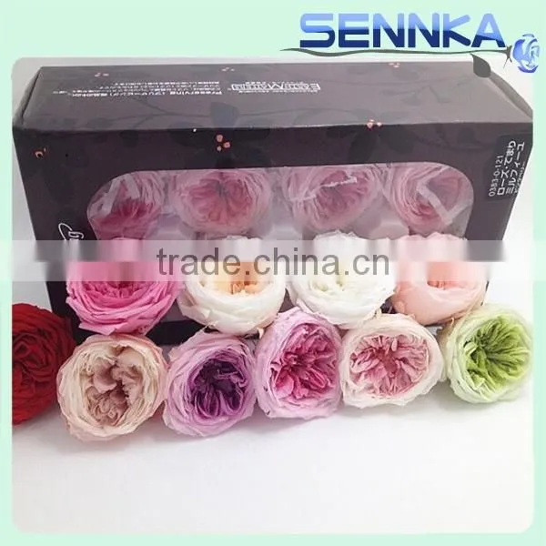 Wedding Favors Preserved Austin Rose Flower Wholesale Approximately 4.5cm Diameter photo-6