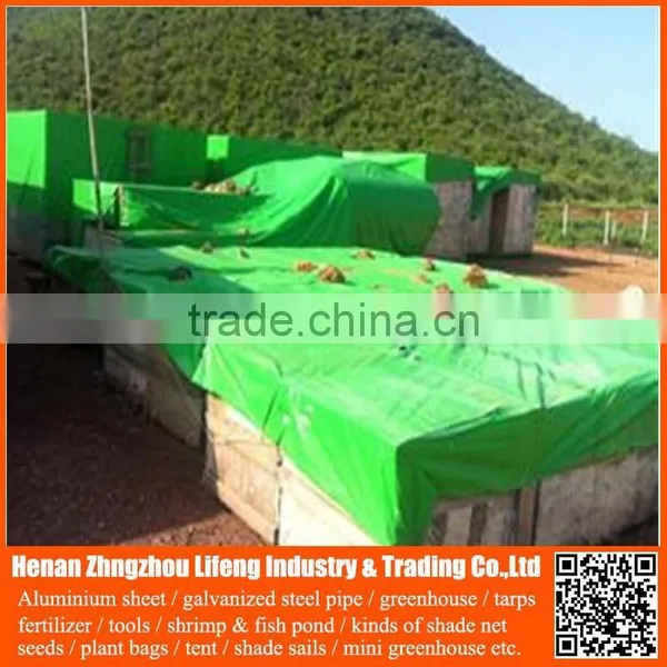 Waterproof pe Plastic Green / Blue / Orange Garden Tool Cover Tarps for Roofing Cover photo-6