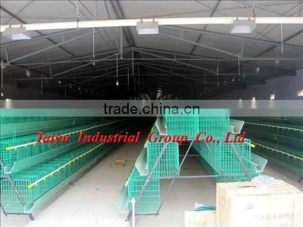 durable battery chicken farm cage