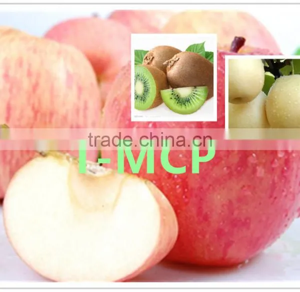 1-Methylcyclopropene Slow Down the Ripening Speed of Fruits photo-2