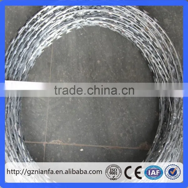 45/50/70/100cm Coil Galvanized Concertina Razor Wire(Guangzhou Factory) photo-6