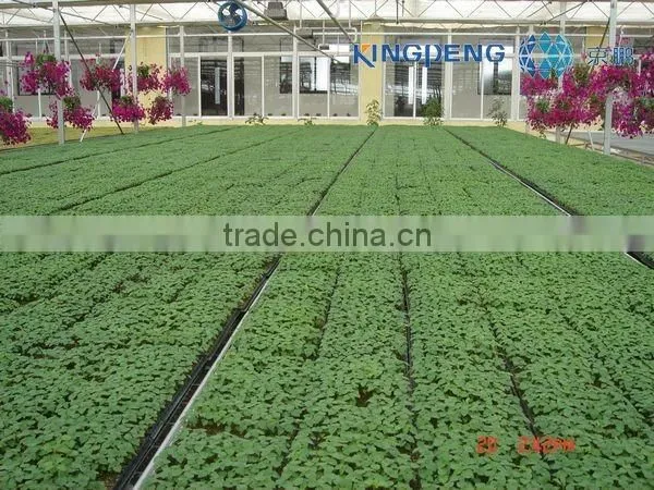 Flower And Vegetable Growing Greenhouse photo-2