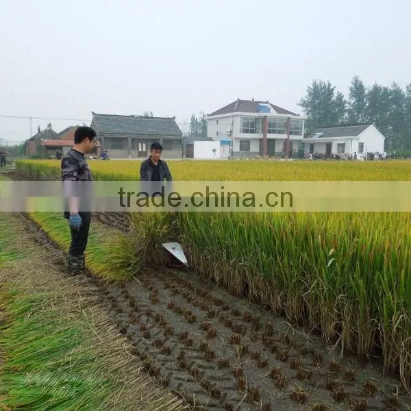 Multifunctional 4GL100 Mini Wheat Harvester Head photo-4
