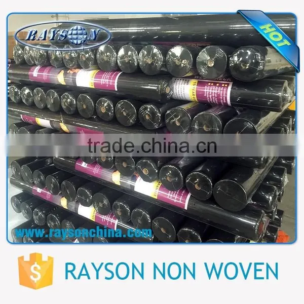 Biodegradable UV Resistant PP Non Woven Frost Cover Mulch Film Price photo-5