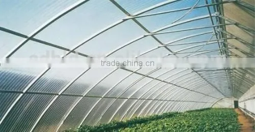 4mm Polycarbonater Greenhouse photo-3