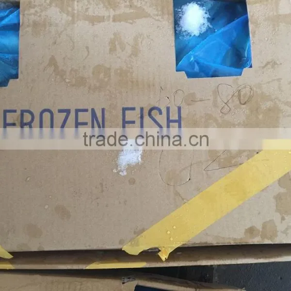Land Frozen Fresh BQF Size 100-200g Pacific Mackerel ( Scomber Japonicus ) photo-3