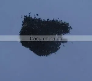 Floor Shot Blasting Machine to Cleans Brick or Stone photo-2