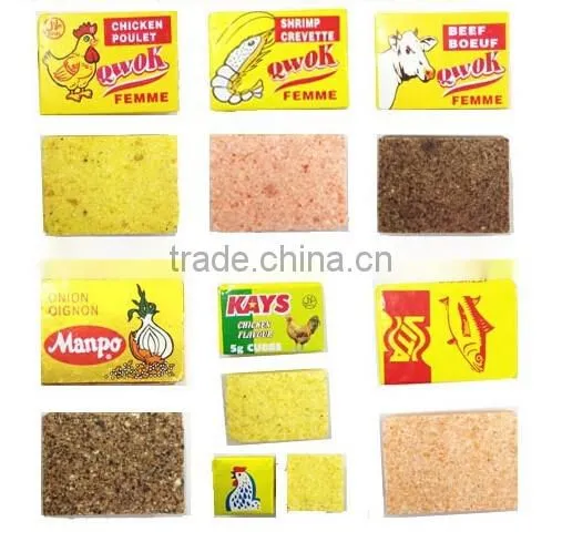 10g HALAL Chicken Seasoning Powder China Supplier photo-4