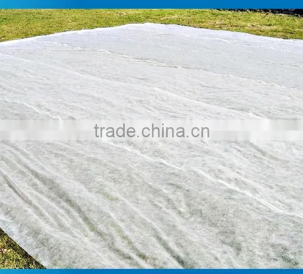 PET Agriculture Non-woven Polyester photo-3
