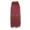 Human Hair Extensions Weavings HYHHW-01