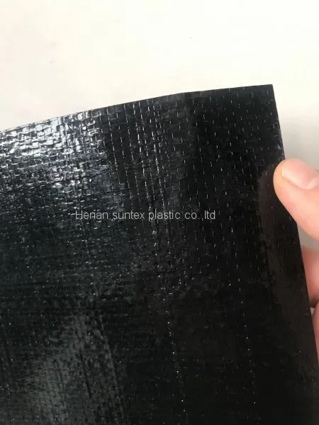 20 Years Usage Life HDPE Reinforced Pond Liner,any Size Can be Customized Fish Farming Liner,UV Treated Waterproof Membrane photo-2