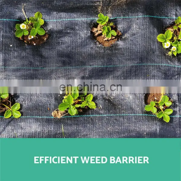 Black Color Weed Mat Woven Greenhouse Ground Cover photo-5